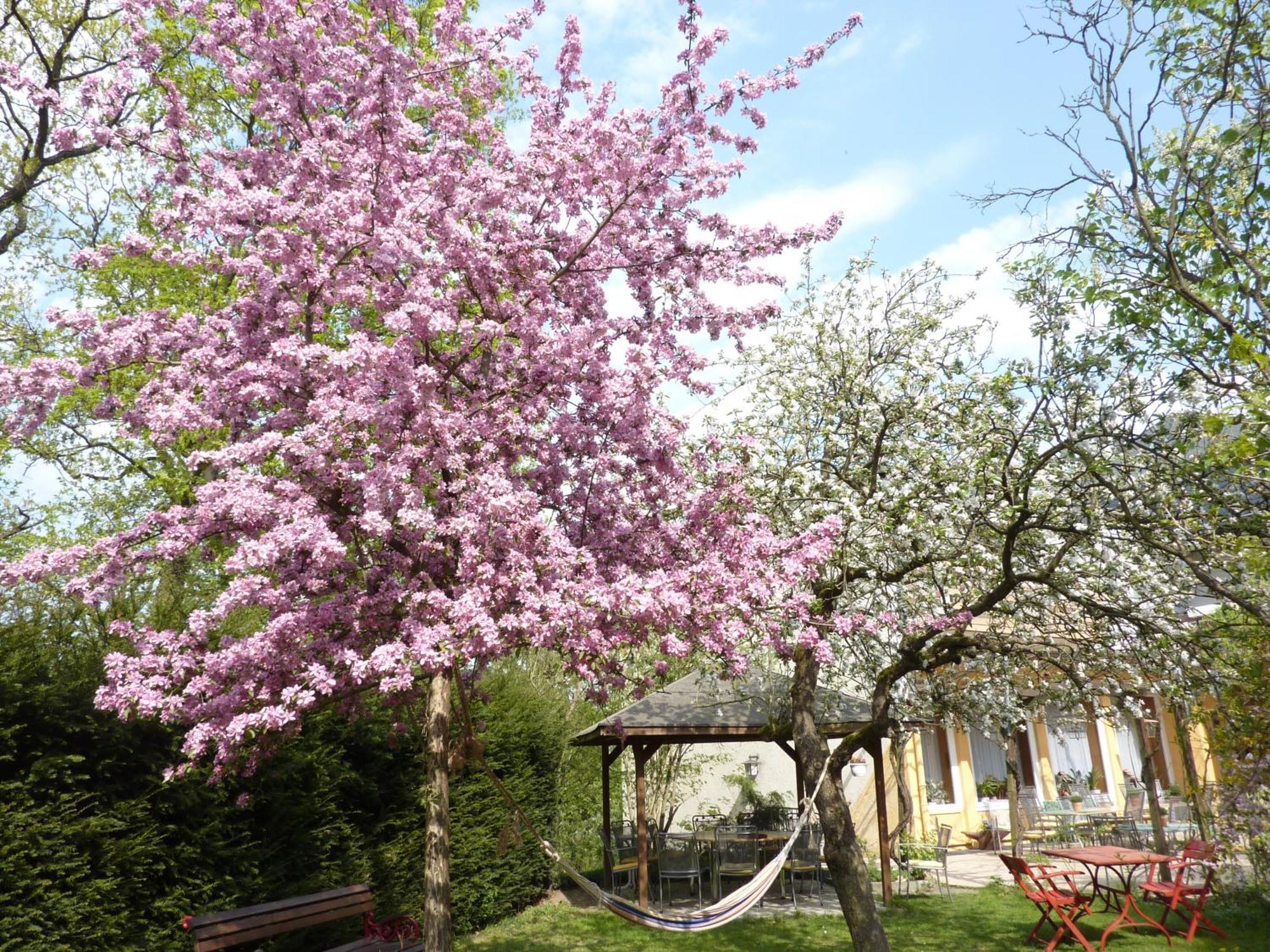 Hotel Oranien Nastatten Екстер'єр фото